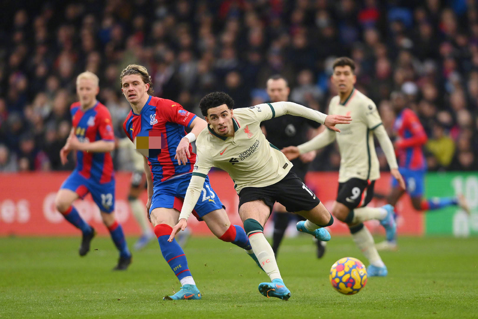 金不仅是为 金不仅是为